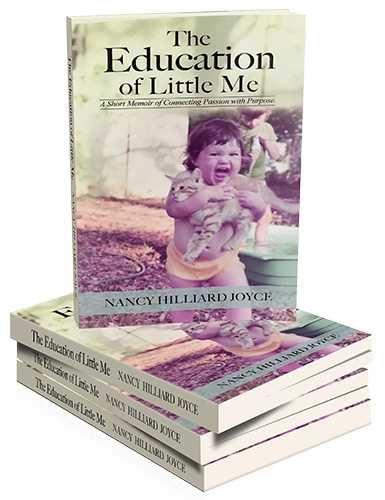 "The Education of Little Me" book cover